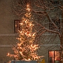 Bild (132)